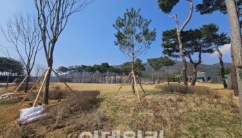충남 홍예공원에 천년 명목들 속속 뿌리 내린다