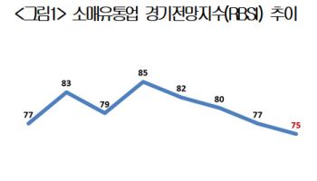 소매시장 체감경기 4분기째 뒷걸음질…"추경 시급"