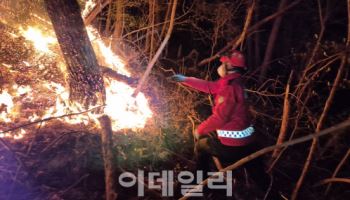 하동 산불, 24시간만에 큰 불길 잡혀…70㏊ 피해