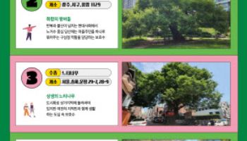 “영월 소나무·보은 왕버들 등 올해의 나무를 소개합니다”