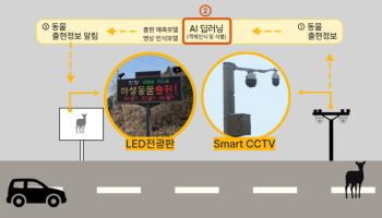 포스코DX, AI 로드킬 예방 시스템 개발…시범 운영 시작