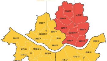 서울 전 지역 병상 증설 제한…지방환자 몰리는 강남도 포함
