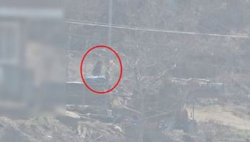 "호기심에 불 붙였다"…치악산 일대 연쇄방화한 30대 여성 구속