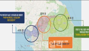 '평화경제특구' 기본구상 확정…기본계획은 차기 정부로