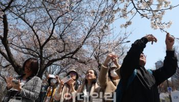 행안부, 서울 여의도 봄꽃축제 현장 안전 점검