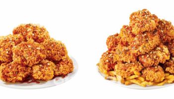맘스터치 '버거 맛집' 인데…노랑통닭보다 '치킨' 더 팔았다