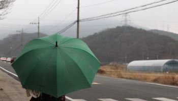 벚꽃 떨어진다…토요일 전국에 강풍 동반한 비