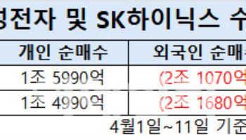 개미, 열흘새 3조원어치 샀다…반도체株 저가매수 통할까