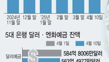 트럼프發 '머니무브'…은행 대기자금 19조원 빠졌다