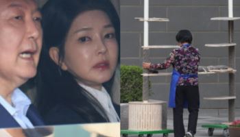 캣타워가 500만원?…尹부부, 예산 이용 관저 설치 의혹