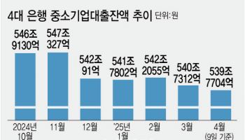 '규제 풀었는데'…4대 은행 中企대출 되레 줄였다