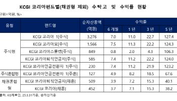 “국내증시 저평가”…‘KCGI코리아펀드’ 수탁고 3개월만 12%↑