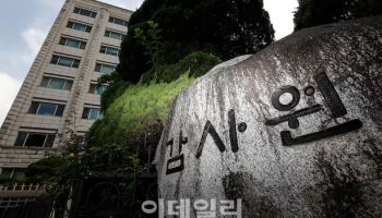 “하루 비자심사 517건인데”…‘불법체류자’ 담당자는 한 명