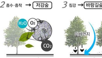 LH, 공기정화 도시숲 조성…미세먼지 감축