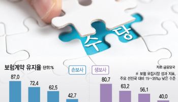 보험 판매수수료 개편안…'설계사 수당 공개' 빠질 듯