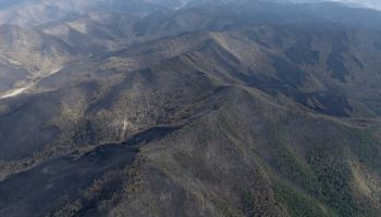 산불진화대 위험수당 '월 4만원' 신설…공공배달앱 쓰면 1만원 할인