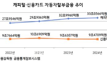 車할부금융, 희비 엇갈린 캐피털·카드사