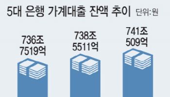 토허제·증시 롤러코스터…가계대출 이달에만 2.5조 껑충