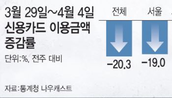 쓰러진 내수 또 때린 정치 불안…탄핵선고 전 카드 사용 20% 뚝