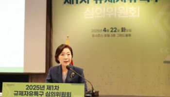 25년도 글로벌 혁신특구, 규제자유특구 지정안 등 심의