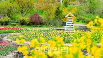 “봉화에선 꿀벌 테마 체험을, 세종선 문화공연 보세요”