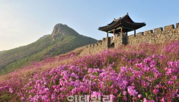 산불 피해 지역 산청, 관광으로 극복…여행 경비 '반값' 환급