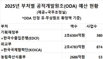 “전략적 대규모 사업으로 원조 효과 높여야…美 공조 확대도”