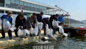 가평군, 북한강에 뱀장어 치어 1만7500마리 방류