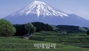 후지산서 구조된 지 나흘 만에 ‘또’ 조난…“폰 놓고 왔어요”