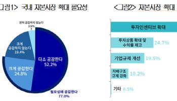 개미 77% "자본시장 넓혀야"…방법은 규제보다 인센티브