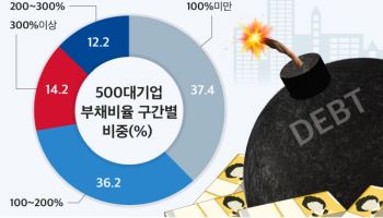500대 기업 10곳 중 6곳 부채비율 100%↑…효성화학 ‘완전자본잠식’