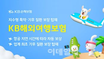 "해외여행 열사병 진단비까지"…KB손보, 'KB해외여행보험'출시