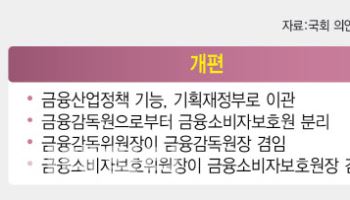 금융감독개편 드라이브 거는 민주당…금융위·금감원 재편