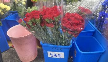 중국산 카네이션, 선물은 `공동구매`…고물가가 만든 5월 풍속도