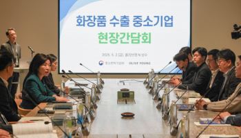 “아프리카서도 K뷰티 인기”…美관세 여파 속 ‘수출 1위’ 지킨다(종합)