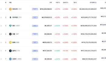 비트코인 소폭 하락...9만 6000달러대 거래