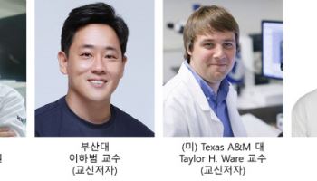 물속에서 빛으로 움직이는 소프트 로봇용 인공 근육 개발