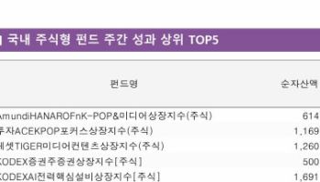 한한령 해제 기대감에 엔터株 '불기둥'…ETF 수익률 '싹쓸이'