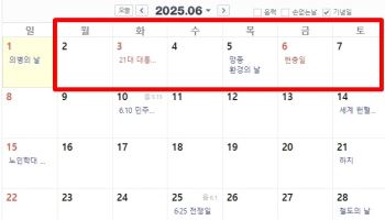 “휴가 내면 또 4일 쉰다”…6월 3일 선거일에 웃는 직장인들