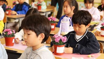 인천서 소각열로 카네이션 재배…학생 교육·무료 제공