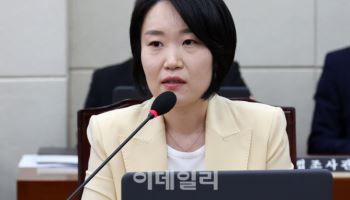 민주당, 상속 위한 ‘인위적 주가 누르기’ 방지법 발의