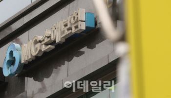 [단독]MG손보, 결국 '가교보험사'로 정리한다