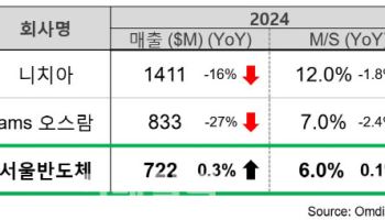 서울반도체, 글로벌 LED 시장서 약진