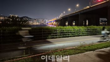 봄 되자 다시 달리는 '한강 자전거족'…시민 안전 '빨간불'