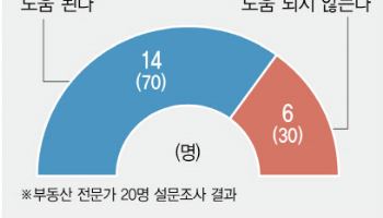 "대통령실 세종 이전, 국토 균형 발전에 도움"