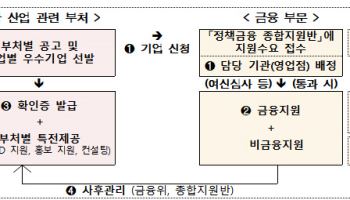 금융당국, '혁신 프리미어' 선정 기업에 정책금융상품 '최고 우대'
