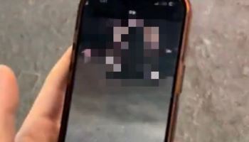 "중국 모터쇼서 '몰카' 찍다 걸린 한국 고교생"...학교 해명보니