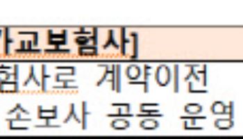 MG손보 일부 영업 정지…가교보험사 거쳐 5대 손보사로 계약이전