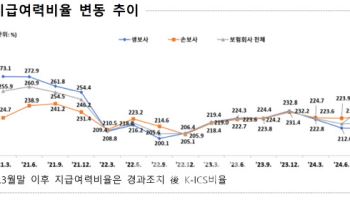 보험사 지급여력비율 200% 붕괴 우려…“자본구조 점검 시급”