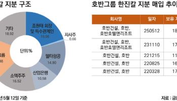 [마켓인]3년전 재미 못 본 호반, 한진칼 재매입 나선 속내는